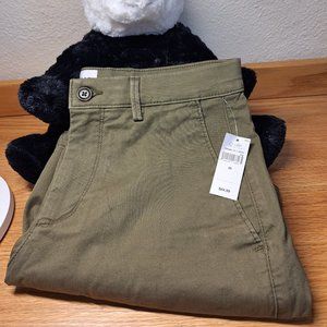 Brand New Gap Khaki Shorts in Olive Green Color.  28W 7” Inseam.